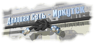 Business Net-Irkutsk
